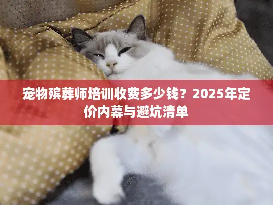 宠物殡葬师培训收费多少钱？2025年定价内幕与避坑清单