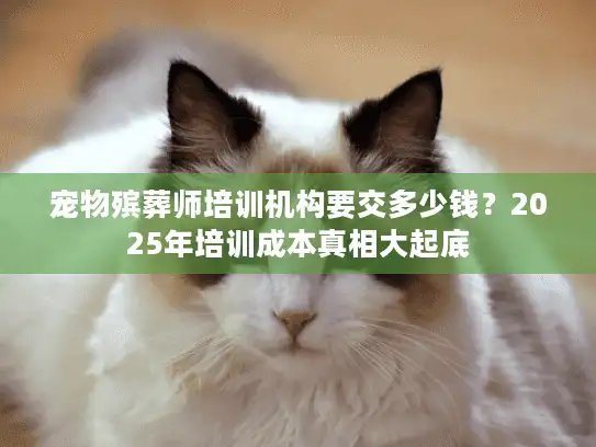 宠物殡葬师培训机构要交多少钱？2025年培训成本真相大起底