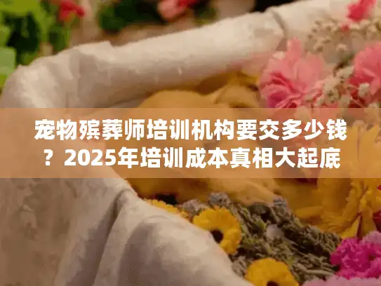 宠物殡葬师培训机构要交多少钱？2025年培训成本真相大起底