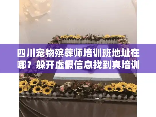 四川宠物殡葬师培训班地址在哪？躲开虚假信息找到真培训