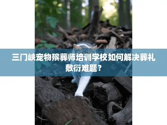 三门峡宠物殡葬师培训学校如何解决葬礼敷衍难题？