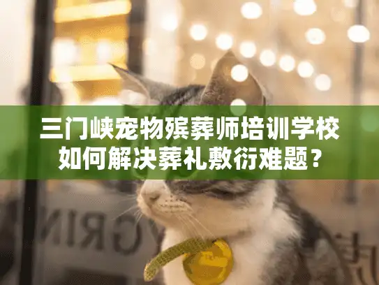 三门峡宠物殡葬师培训学校如何解决葬礼敷衍难题？