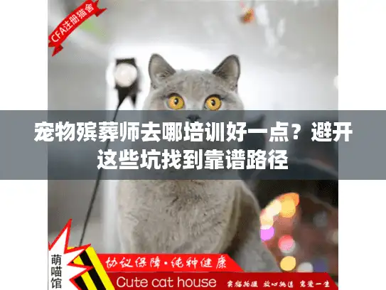 宠物殡葬师去哪培训好一点？避开这些坑找到靠谱路径