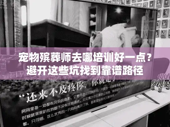 宠物殡葬师去哪培训好一点？避开这些坑找到靠谱路径