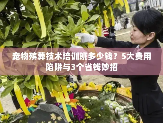 宠物殡葬技术培训班多少钱？5大费用陷阱与3个省钱妙招