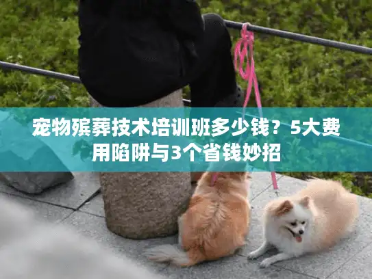 宠物殡葬技术培训班多少钱？5大费用陷阱与3个省钱妙招