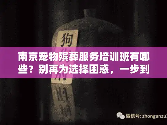 南京宠物殡葬服务培训班有哪些？别再为选择困惑，一步到位解决难题