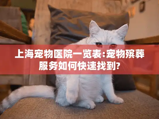 上海宠物医院一览表:宠物殡葬服务如何快速找到?