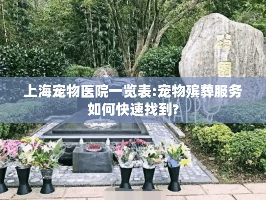 上海宠物医院一览表:宠物殡葬服务如何快速找到?