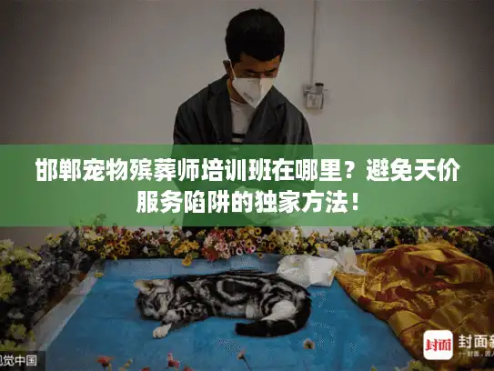邯郸宠物殡葬师培训班在哪里？避免天价服务陷阱的独家方法！