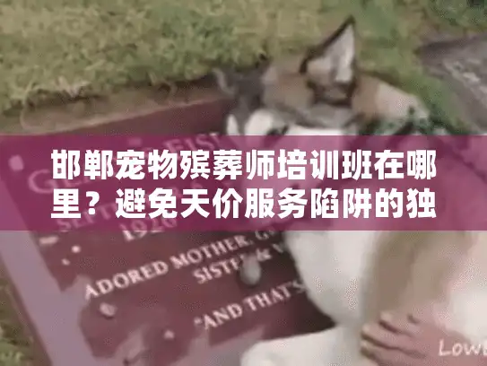 邯郸宠物殡葬师培训班在哪里？避免天价服务陷阱的独家方法！
