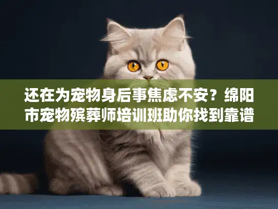 还在为宠物身后事焦虑不安？绵阳市宠物殡葬师培训班助你找到靠谱服务
