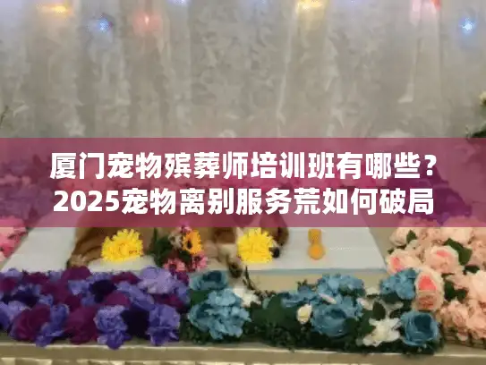 厦门宠物殡葬师培训班有哪些？2025宠物离别服务荒如何破局