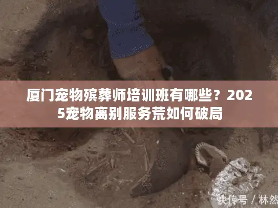 厦门宠物殡葬师培训班有哪些？2025宠物离别服务荒如何破局