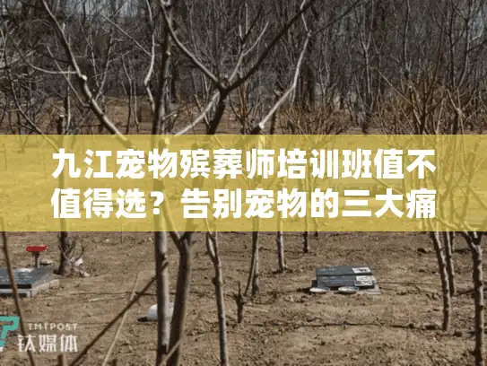九江宠物殡葬师培训班值不值得选？告别宠物的三大痛点有解