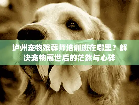 泸州宠物殡葬师培训班在哪里？解决宠物离世后的茫然与心碎