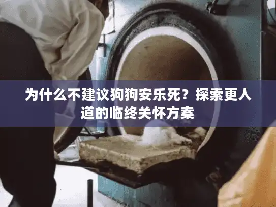 为什么不建议狗狗安乐死？探索更人道的临终关怀方案