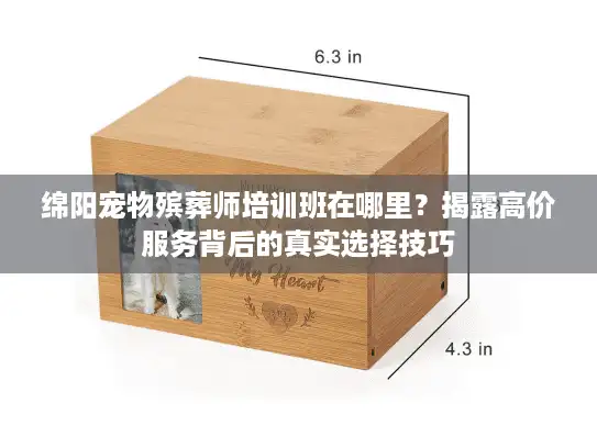 绵阳宠物殡葬师培训班在哪里？揭露高价服务背后的真实选择技巧