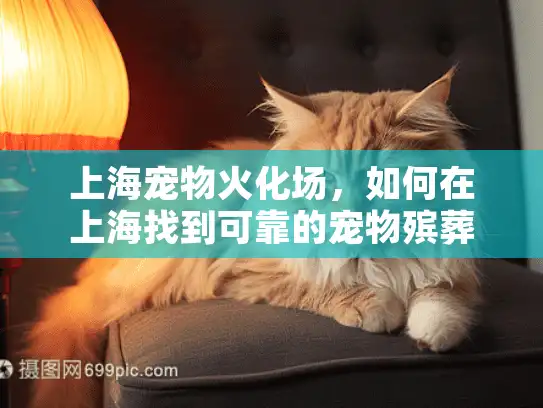 上海宠物火化场，如何在上海找到可靠的宠物殡葬服务？