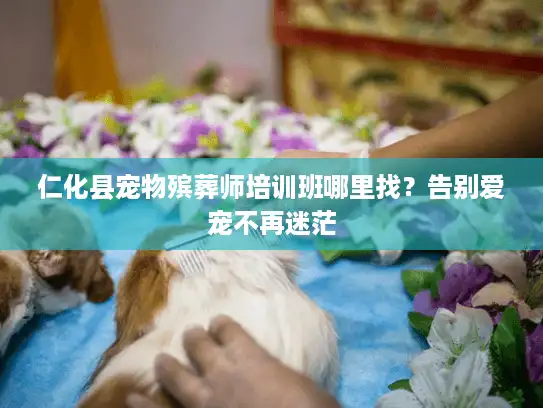 仁化县宠物殡葬师培训班哪里找？告别爱宠不再迷茫