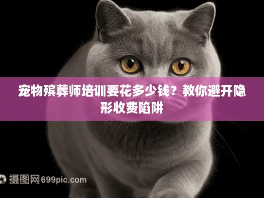宠物殡葬师培训要花多少钱？教你避开隐形收费陷阱