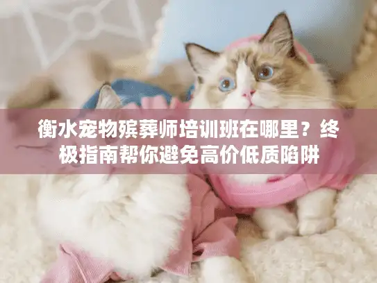衡水宠物殡葬师培训班在哪里？终极指南帮你避免高价低质陷阱