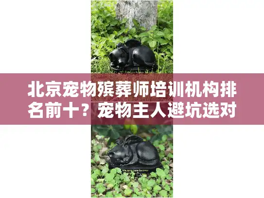 北京宠物殡葬师培训机构排名前十？宠物主人避坑选对机构的关键