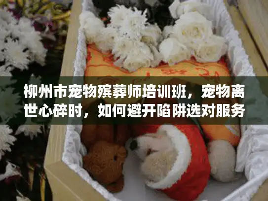 柳州市宠物殡葬师培训班，宠物离世心碎时，如何避开陷阱选对服务？