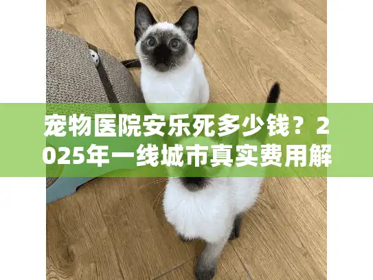 宠物医院安乐死多少钱？2025年一线城市真实费用解密