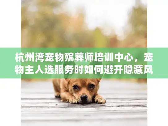 杭州湾宠物殡葬师培训中心，宠物主人选服务时如何避开隐藏风险？