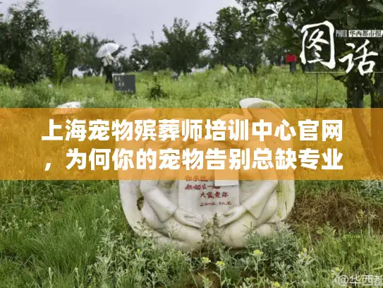 上海宠物殡葬师培训中心官网，为何你的宠物告别总缺专业关怀？