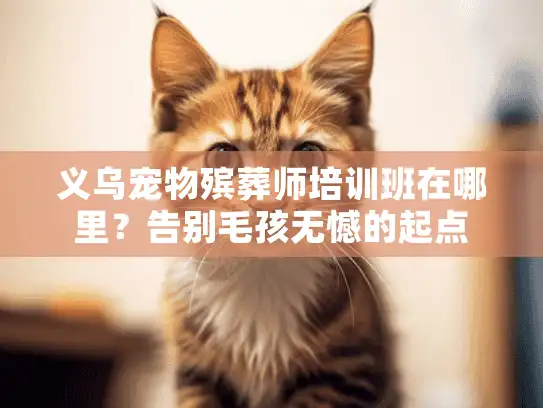 义乌宠物殡葬师培训班在哪里？告别毛孩无憾的起点