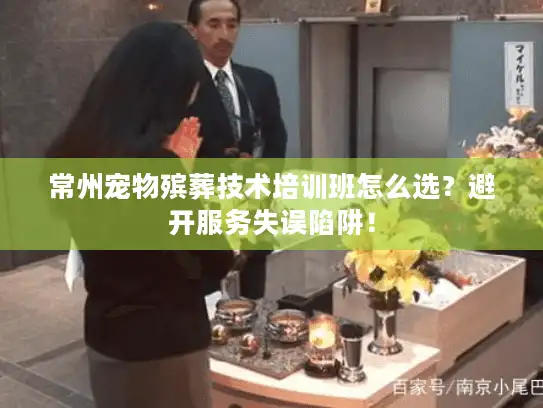 常州宠物殡葬技术培训班怎么选？避开服务失误陷阱！