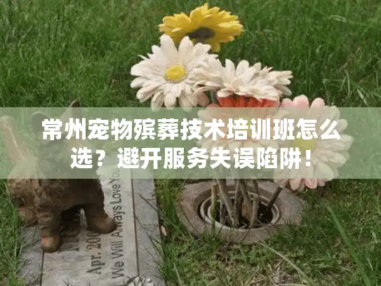 常州宠物殡葬技术培训班怎么选？避开服务失误陷阱！