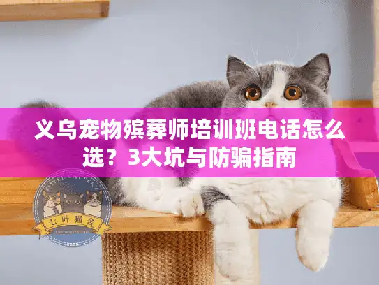 义乌宠物殡葬师培训班电话怎么选？3大坑与防骗指南
