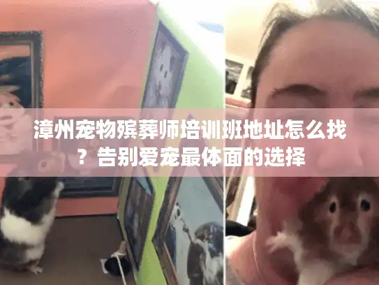 漳州宠物殡葬师培训班地址怎么找？告别爱宠最体面的选择