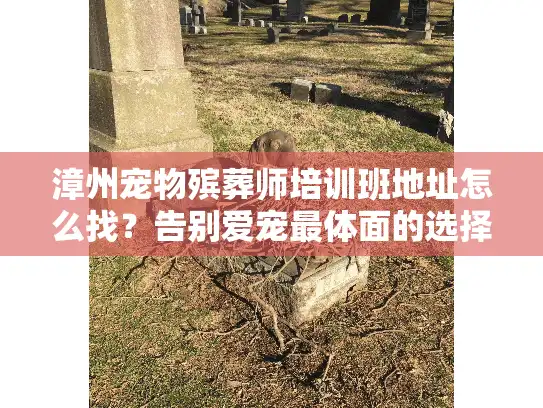 漳州宠物殡葬师培训班地址怎么找？告别爱宠最体面的选择