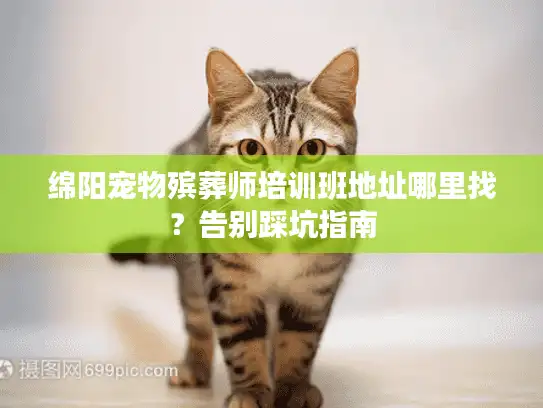 绵阳宠物殡葬师培训班地址哪里找？告别踩坑指南