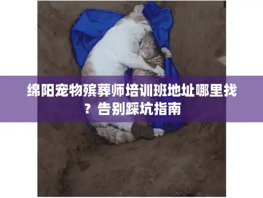绵阳宠物殡葬师培训班地址哪里找？告别踩坑指南