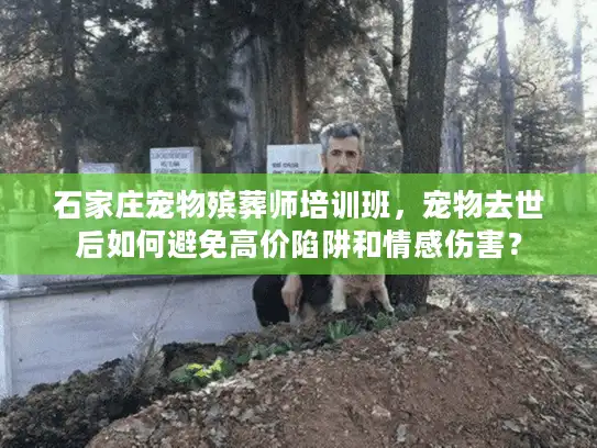 石家庄宠物殡葬师培训班，宠物去世后如何避免高价陷阱和情感伤害？