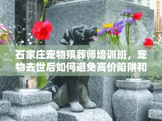 石家庄宠物殡葬师培训班，宠物去世后如何避免高价陷阱和情感伤害？