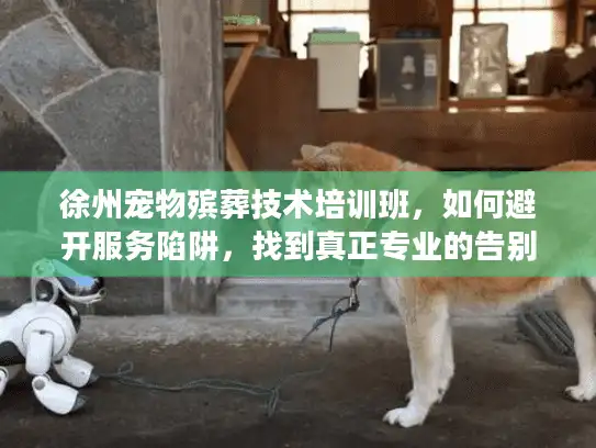 徐州宠物殡葬技术培训班，如何避开服务陷阱，找到真正专业的告别？