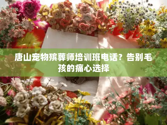 唐山宠物殡葬师培训班电话？告别毛孩的痛心选择