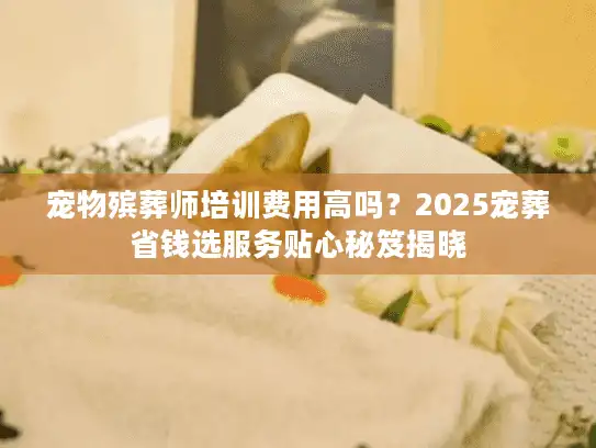 宠物殡葬师培训费用高吗？2025宠葬省钱选服务贴心秘笈揭晓