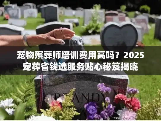 宠物殡葬师培训费用高吗？2025宠葬省钱选服务贴心秘笈揭晓