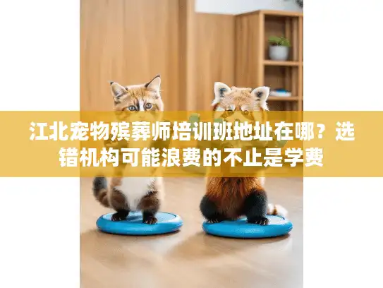 江北宠物殡葬师培训班地址在哪？选错机构可能浪费的不止是学费
