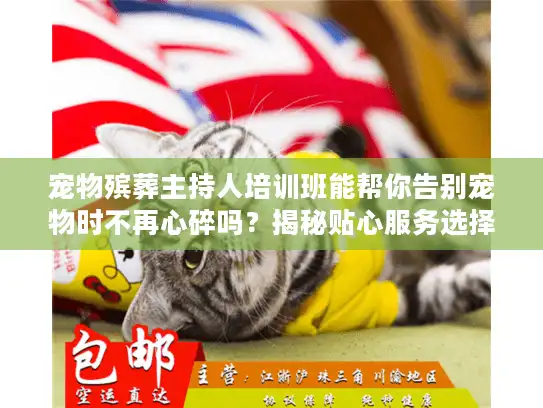 宠物殡葬主持人培训班能帮你告别宠物时不再心碎吗？揭秘贴心服务选择秘诀