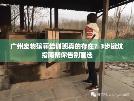 广州宠物殡葬培训班真的存在？3步避坑指南帮你告别盲选