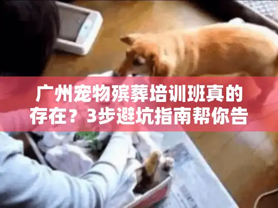 广州宠物殡葬培训班真的存在？3步避坑指南帮你告别盲选