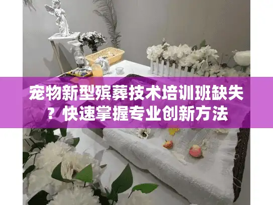 宠物新型殡葬技术培训班缺失？快速掌握专业创新方法